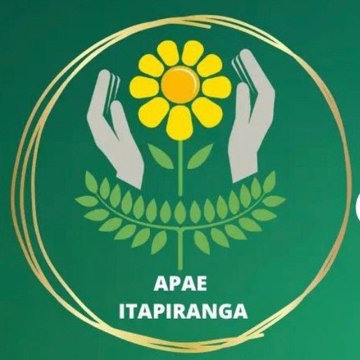 Apae realiza acompanhamento e estimulação de crianças com atrasos cognitivos e motores