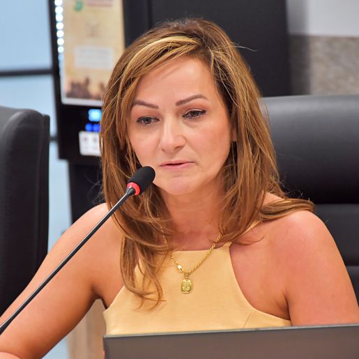 Vereadores aprovam abertura de crédito suplementar de R$ 5 milhões