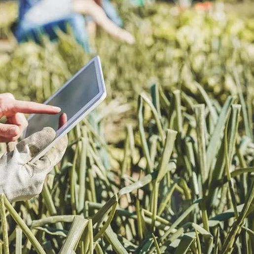 Emissão de Nota Fiscal Eletrônica será obrigatória para produtores rurais