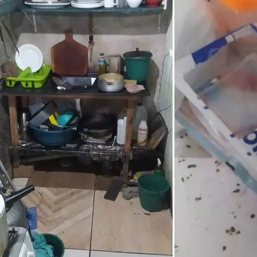 Dono é preso e lanchonete é interditada por vender alimentos estragados em SC