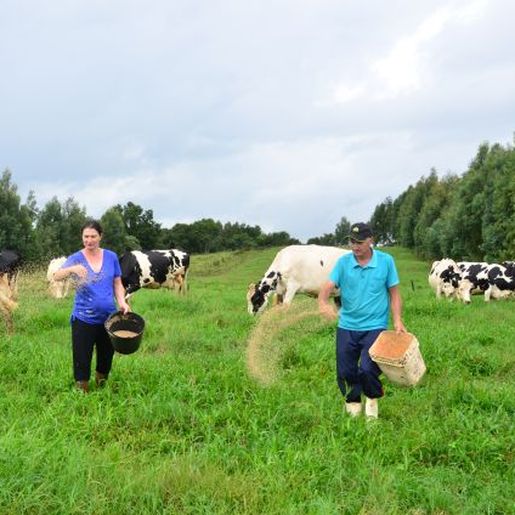 Abertas inscrições para o programa Bônus Agrícola em Barra Bonita