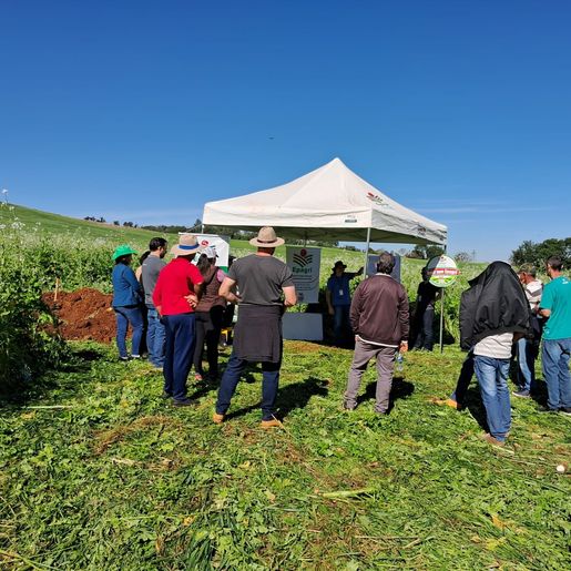 Dia de campo reúne cerca de 30 agricultores em Bandeirante