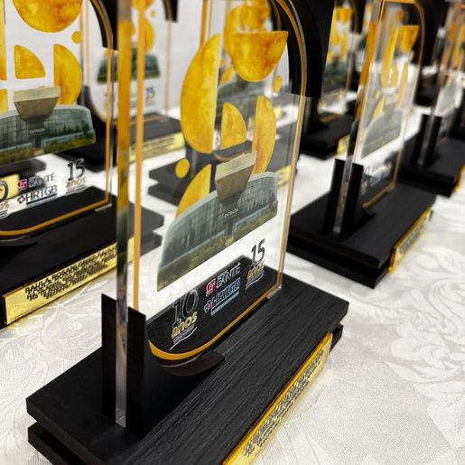 Evento marca 15 anos do Hospital Regional e homenageia profissionais, em SMO