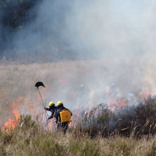 SC registra 1,3 mil focos de incêndio em 2024 e supera total do ano passado