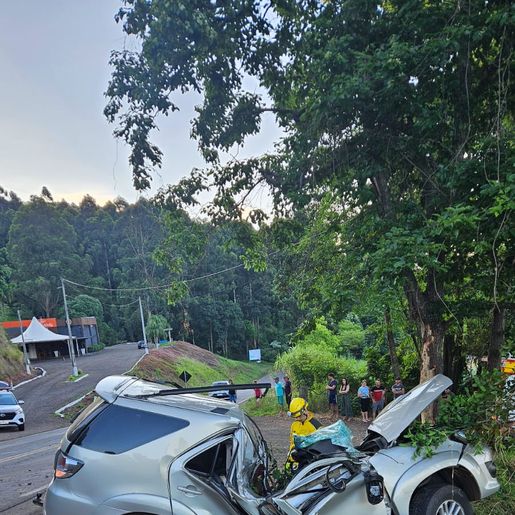 Motorista morre ao colidir caminhonete com árvore na SC-156, em Xaxim