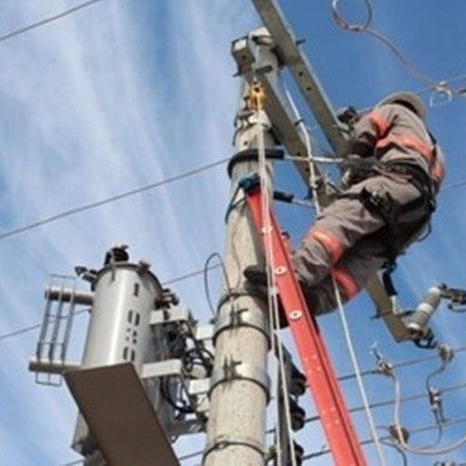 Pássaro causa curto-circuito e deixa mais de 350 imóveis sem luz em SMO