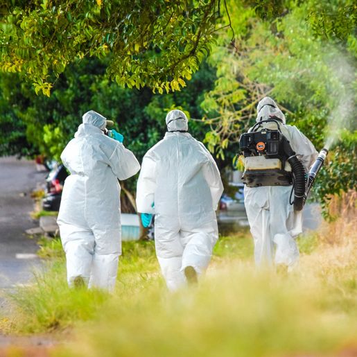 Focos do mosquito transmissor da dengue chegam próximo de 400 em SMOeste