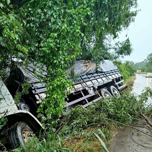Saída de pista e colisão em árvore deixa um ferido na BR 282