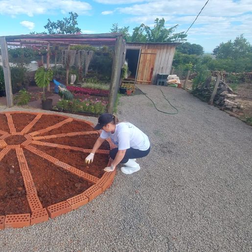 Horto Municipal de Belmonte cria espaço para Plantas Medicinais