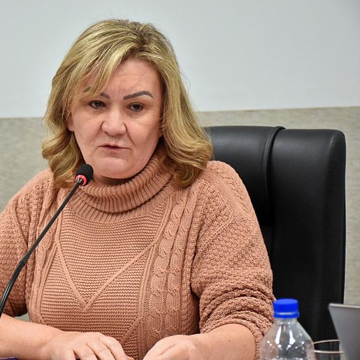 Vereadora propõe distribuição de bandeiras para escolas e entidades de SMO