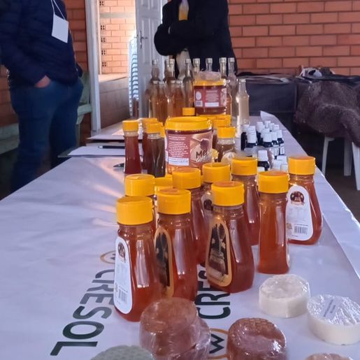 Saltinho sedia Seminário Estadual de Apicultura e Meliponicultura