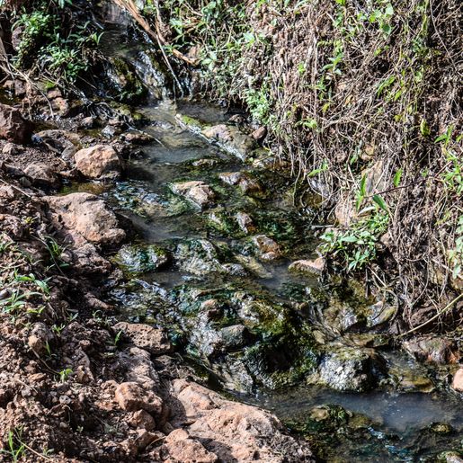 VÍDEO: Morador reclama de esgoto a céu aberto e prefeitura vai resolver o problema