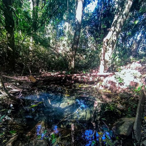 Alunos do CEMEG realizam visita de estudos à nascente do Rio Cedro