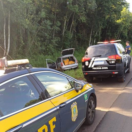 Ação conjunta em Maravilha apreende mais de 80 kg de drogas