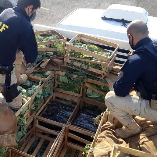 PRF aborda caminhão de Itapiranga com cerca de R$12,5 milhões em cocaína