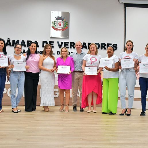 Câmara de São Miguel do Oeste presta homenagem ao Conselho dos Direitos da Mulher
