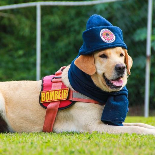 Campanha do Agasalho dos Bombeiros de Iporã do Oeste termina nesta quarta
