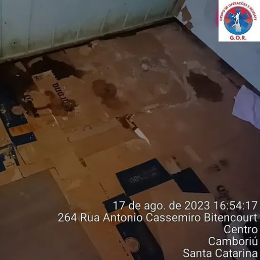 Mais de 70 cães de raça são resgatados em canil clandestino em SC