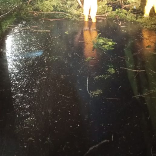 Temporal causa queda de árvores e destelhamentos em Pinhalzinho