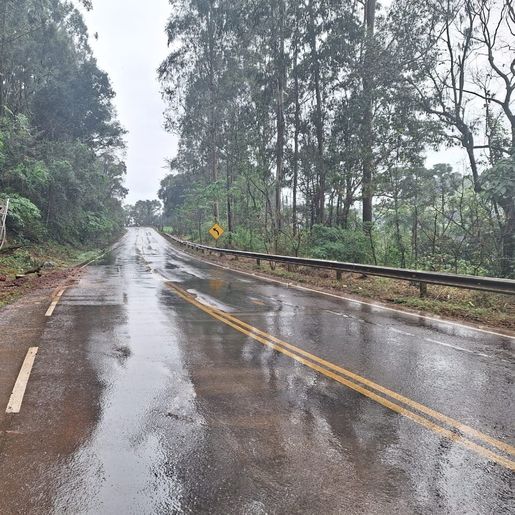 Caminhão sai da pista e colide em árvore na SC-157