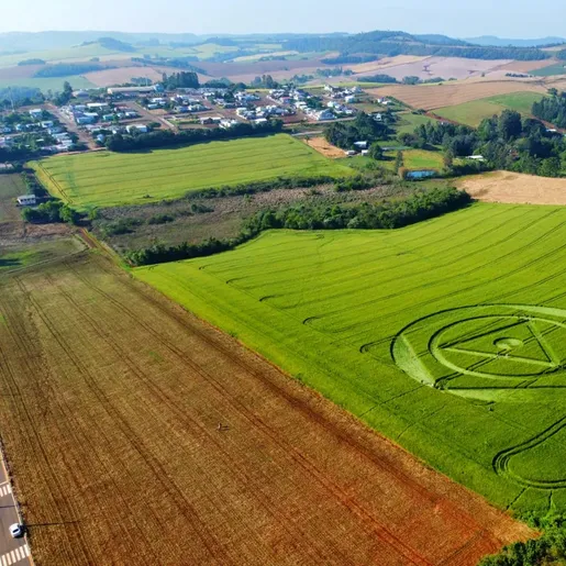 Agroglifo que apareceu em Santa Catarina vai ser desfeito em 10 dias