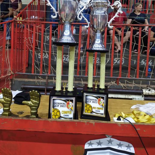 É CAMPEÃO: Gol de Bico vence Herval D'Oeste/Joaçaba e conquista título estadual