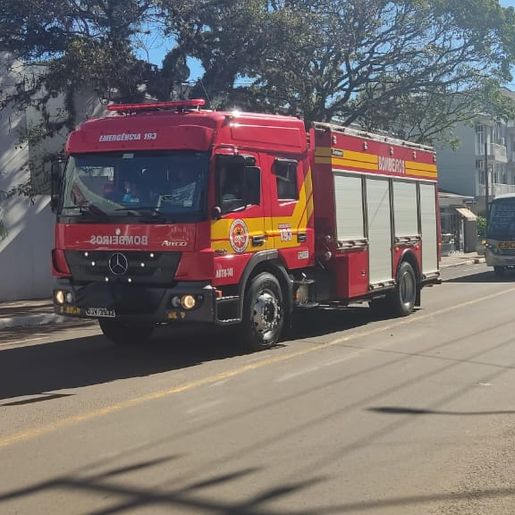 APAE Viviane de São José do Cedro é campeã no Festival Nossa Arte