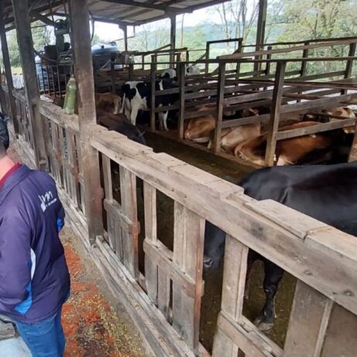 Tunápolis realiza reunião técnica sobre saúde animal e formulação de dieta leiteira