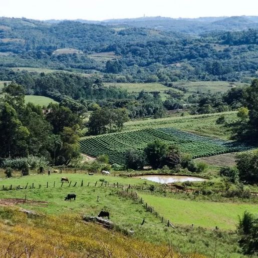 Lar Legal Rural completa um ano com mil processos de regularização no Oeste