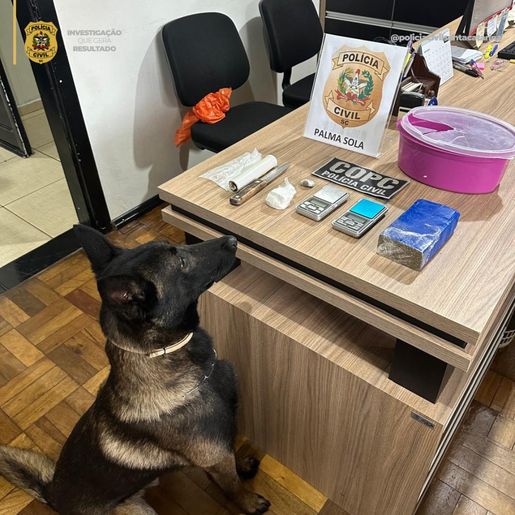 Polícia Civil prende casal por tráfico de drogas em Palma Sola