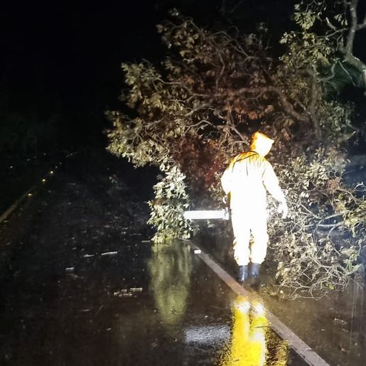 Vendaval atinge interior de Descanso e mobiliza bombeiros para entrega de lonas