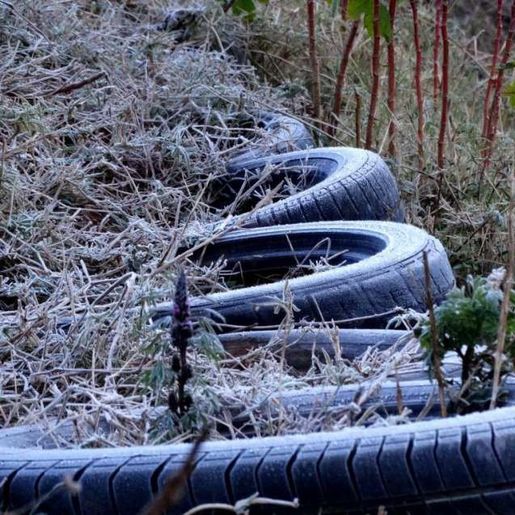 Outono trará primeiras massas de ar frio a Santa Catarina em 2022