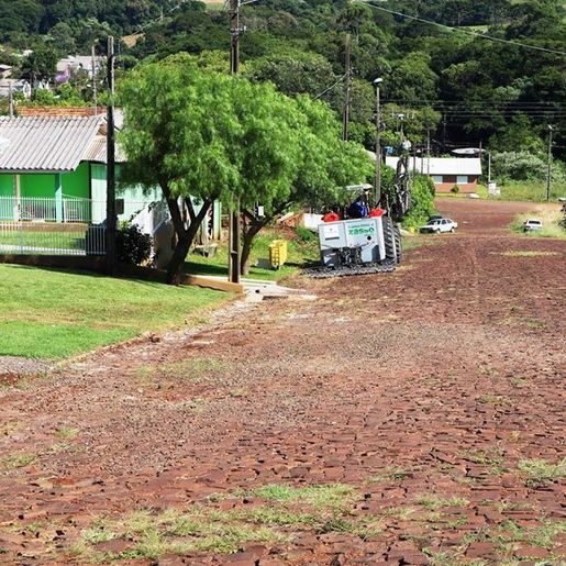 Prefeitura avalia novo método para combater ervas daninhas na área urbana