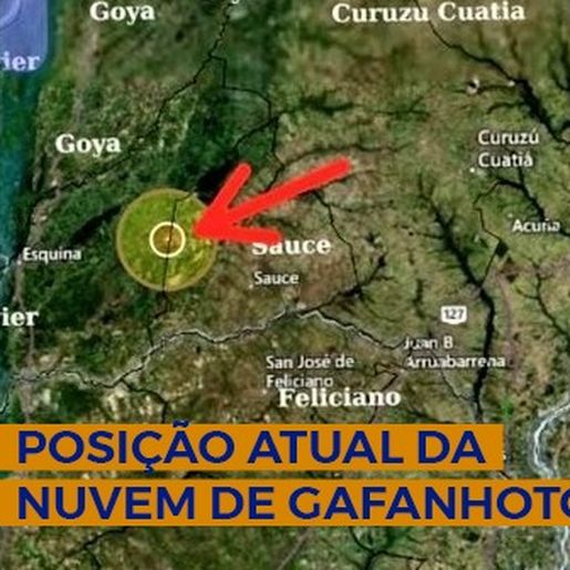 Nuvem de gafanhotos permanece na Argentina e se afasta da fronteira com o Brasil