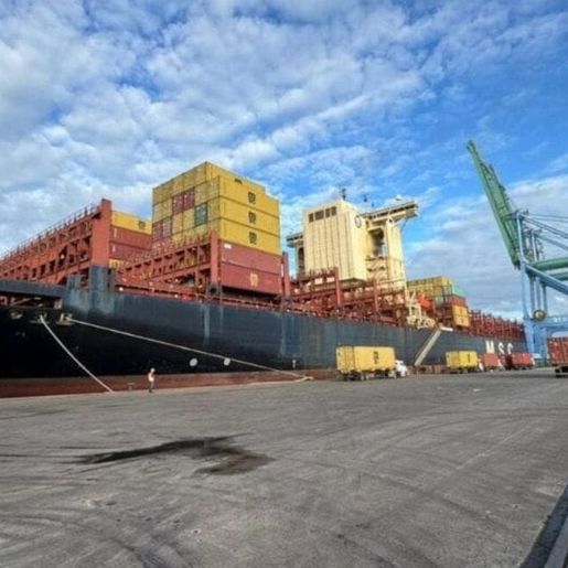 Agronegócio, maquinário e madeira puxam alta de 7,6% nas exportações de SC