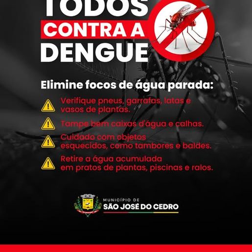 São José do Cedro tem aumento nos focos do Aedes aegypti