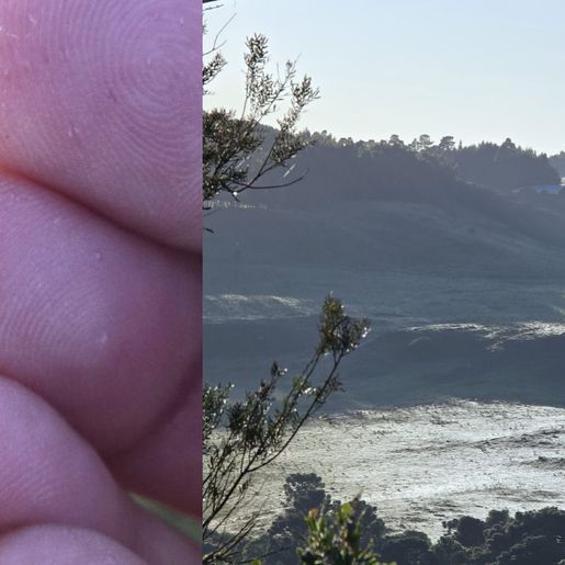 SC registra geada e temperaturas próximas de 0°C em pleno novembro