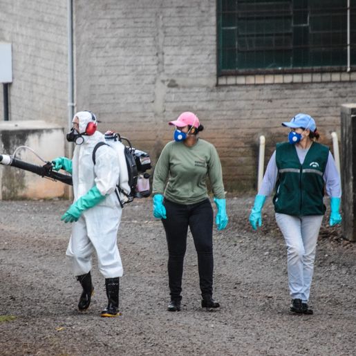 Saúde confirma 116 casos de dengue em São Miguel do Oeste