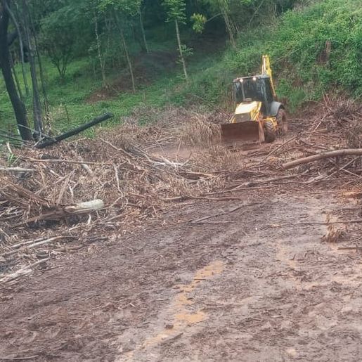 Palma Sola decreta situação de emergência devido a quantidade de chuva da última semana