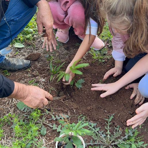 Secretaria trabalha ações da Semana do Meio Ambiente em Guaraciaba