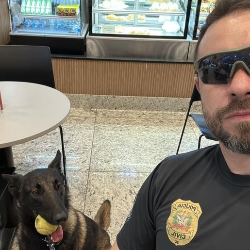 Novo cão de faro é escolhido para reforçar o combate ao tráfico em SMO