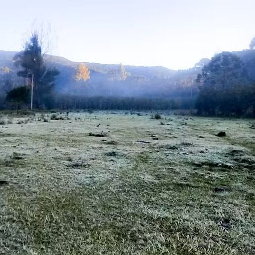 SC amanhece com termômetros marcando -1,8ºC, geada e bate novo recorde