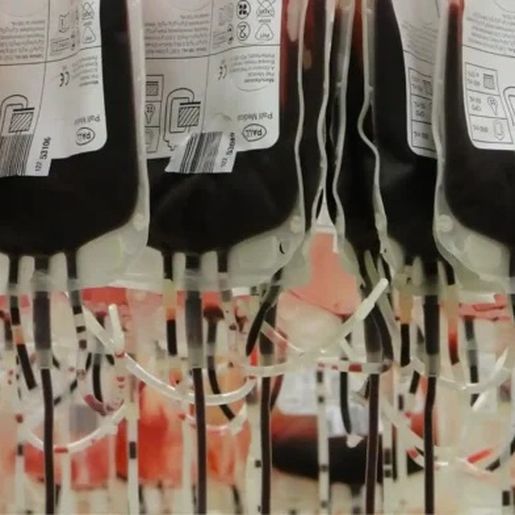 Estoques de sangue estão em nível muito baixo em SC