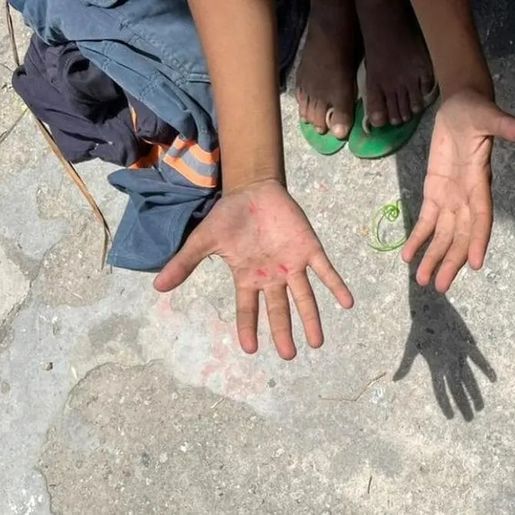 SC é o quinto estado com maior número de denúncias de trabalho infantil do país