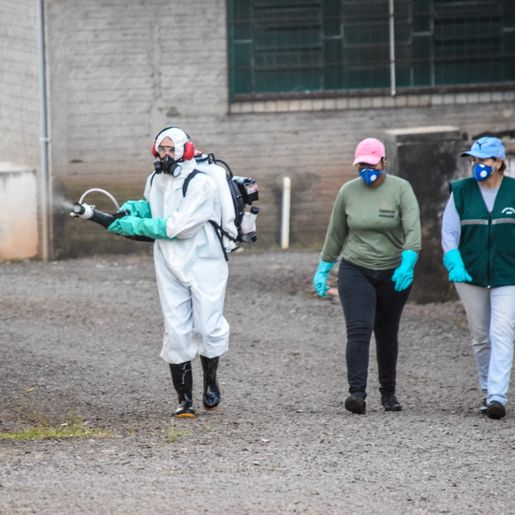 URGENTE: Casos de dengue em São Miguel do Oeste chegam a 74