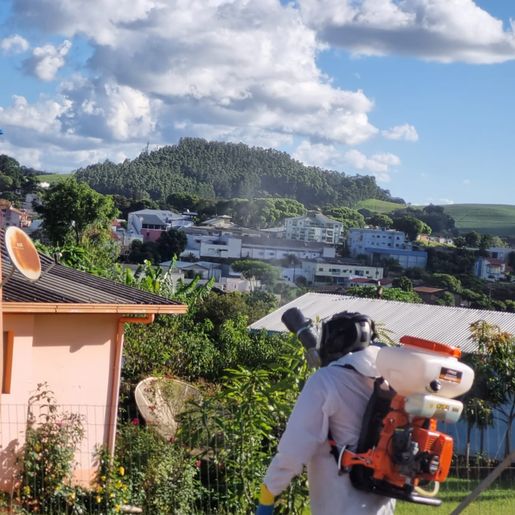 São José do Cedro confirma os dois primeiros casos de dengue