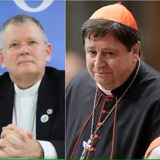 Três dos sete brasileiros que podem participar do Conclave são de SC