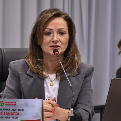 Vereadora reforça apelo por obras em ponte na BR-282