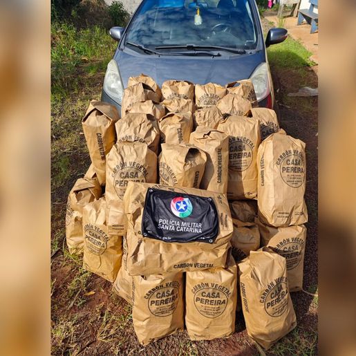 PM apreende carga de carvão na Ponte Internacional de Paraíso