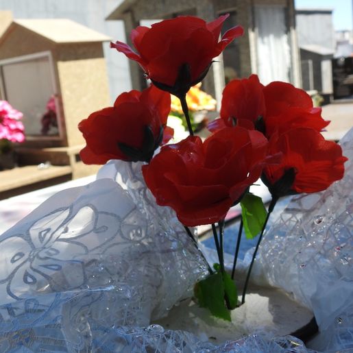 SMOeste volta a registrar focos do mosquito da dengue